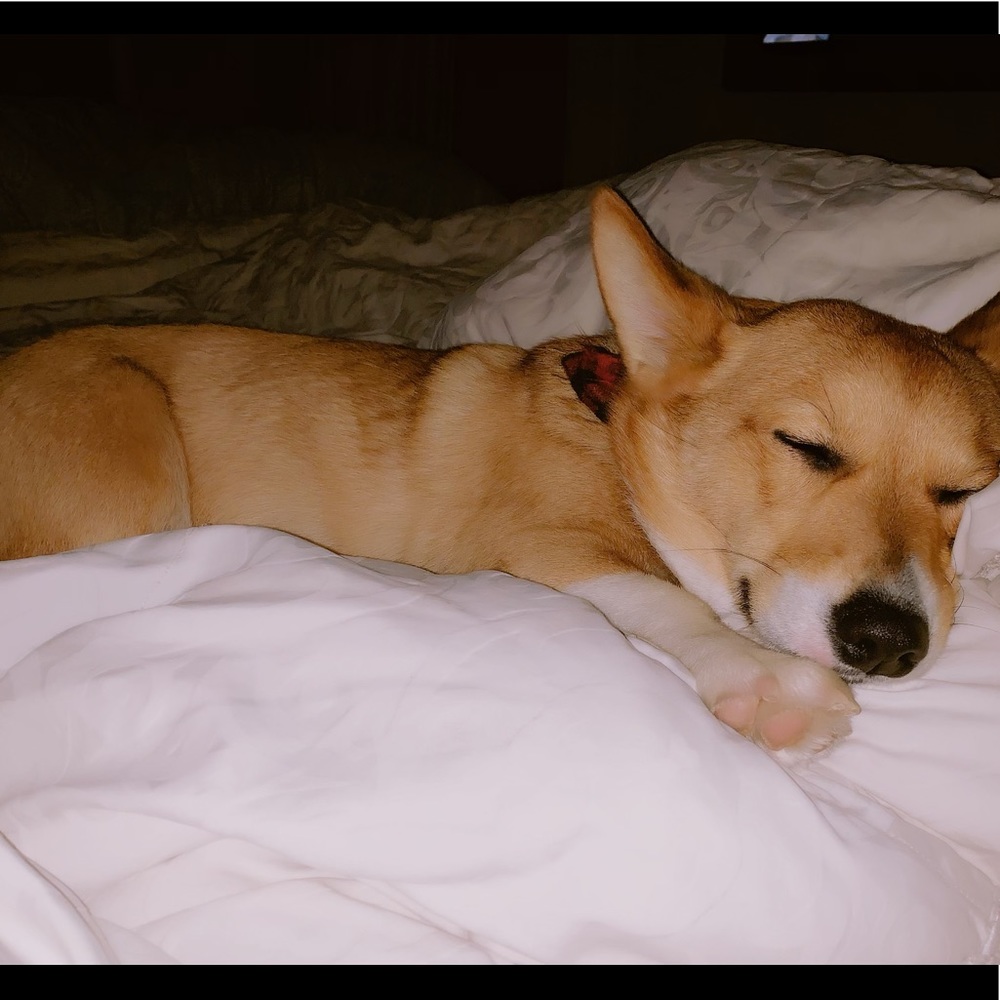 Meet your Posher, Felicia